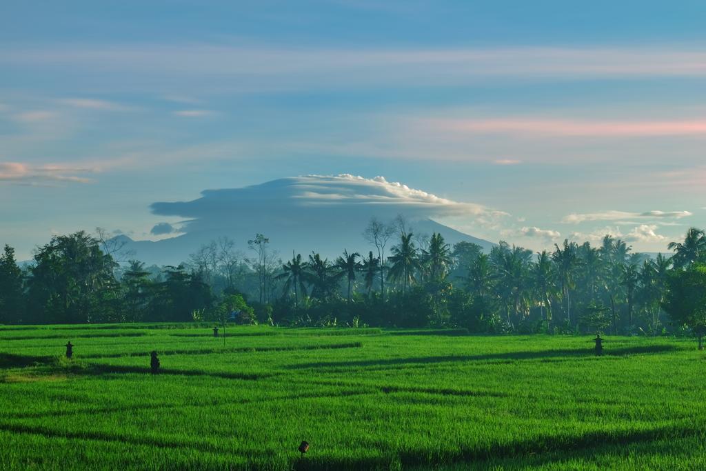 Putra Guest House Ubud Exterior foto